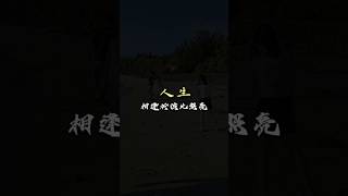 相逢的意義在於彼此照亮 #reels #感情 #小羅