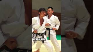 How to use Kata , Karate