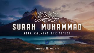 Surah Muhammad (سورة محمد) - Calm your heart with beautiful recitation | Zikrullah TV