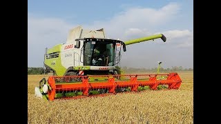 K.T.K. Kft. Nyári aratás 2019. 3x Claas lexion