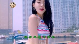 紫燕《妹在草原等哥来》DJ