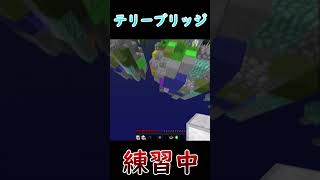 【Minecraft】テリーブリッジしてって...これで許して！