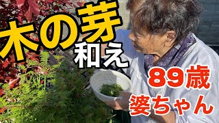 【89歳あっこ婆ちゃん秘伝】木の芽和え　山椒の香りがたまらん！今年初筍‼︎婆ちゃんの作る料理はうまか😄必見‼︎