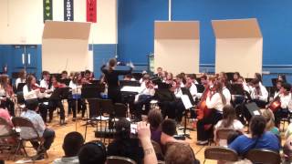 2013.05.16 - Orchestra Friendship Concert, Donegal Fiddle - arr. McCarrick