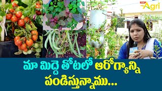 Midde Thota | మా మిద్దె తోటలో ఆరోగ్యాన్ని పండిస్తున్నాం... Organic Fruits and Vegetables | Tone Agri