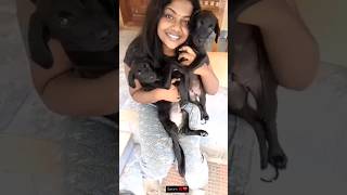 🐕എന്റെ രണ്ട് സുന്ദരന്മാരെ കണ്ടോ ❤️|#viral #shorts #malayalam