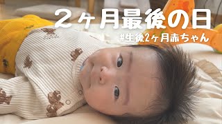 【赤ちゃん密着】生後2ヶ月最後の日｜2ヶ月赤ちゃんの１日｜うつ伏せ練習｜2ヶ月赤ちゃんとの遊び｜結婚記念日