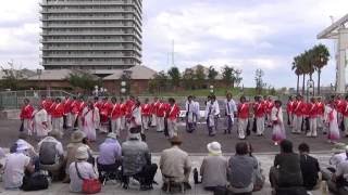 大阪芸術大学 よさこい×結び ~ 神戸よさこいまつり 2016 ~