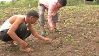 Uneven rainfall in India draws mixed concerns