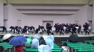 「早稲田大学　踊り侍」B　龍馬よさこい2012　円山公園音楽堂