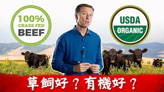 有機牛肉、草飼牛肉，不一樣？柏格醫生 Dr Berg