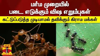 மர்ம முறையில் படை எடுக்கும் விஷ எறும்புகள் - கட்டுப்படுத்த முடியாமல் தவிக்கும் கிராம மக்கள் | Ants