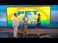 news13 saturday morning