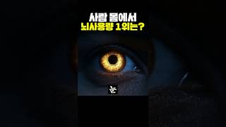 사람의 몸에서 뇌 사용량 1위는?