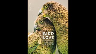 Bird Love by Dr. Wenfei Tong