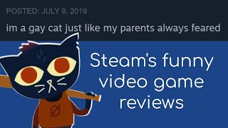 Steam Game Reviews, but make them funny