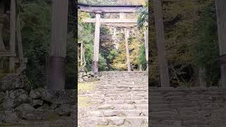 【神社参拝】平泉寺白山神社 福井県勝山市平泉寺町 (japantravel) #shorts