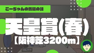 【2022天皇賞(春)】阪神芝3200ｍの特徴と馬場傾向（トラックバイアス）