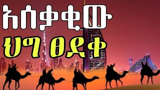 የዱባይ አዲሱ ህግ ሁላችንንም አስጨንቆናል ምን እናድርግ ||UAE NEW RULE 2025||