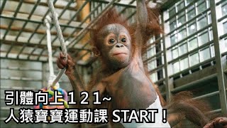 引體向上121，人猿寶寶運動課 START！