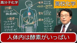 酵素　基質特異性　触媒　タンパク質　アミラーゼ　高分子化学　高校化学　エンジョイケミストリー　151308