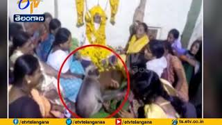 Monkey Attends Funeral | and Consoles a Crying Woman | in Karnataka