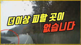 13600회. 기름 다 넣고 왜 역방향으로 달립니까... 사고가 났는데 멈추지 않고 그냥 가면 됩니까...