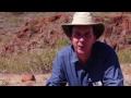 towering cacti of the baja peninsula