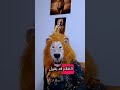 حكمة اليوم من الأسد الطيب cutelion lion explore اكسبلور دويتو الاسد