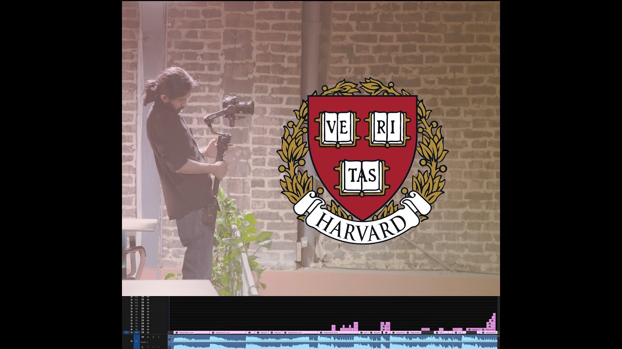 Harvard University Course Cs50x 2022 Timeline Youtube