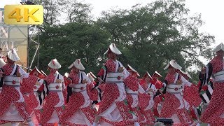 2019 6/9 新琴似天舞龍神 セミファイナル YOSAKOIソーラン祭り YOSAKOI SORAN Festival