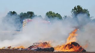 Über 100 Feuerwehrkräfte bekämpfen Flächenbrand bei Twistringen