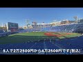 【ハマスタ新シート】star boxシート （star side ＝三塁側） 2024 横浜denaベイスターズ 横浜スタジアム