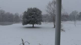 Snow Day on the Farm - 20250110 (1)