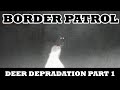 Border Patrol - Deer Depradation Part 1 with Perceptive Outdoors