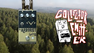 Spruce Effects - The Arborist