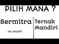 PILIH MANA?? Bermitra apa ternak mandiri ( ternak ayam broiler)