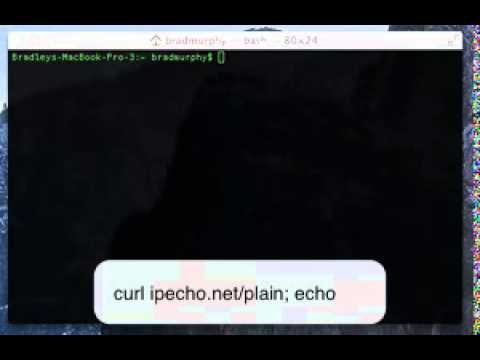 Use Mac OS X Terminal to find your public IP Address Use Mac OS X Terminal to find your public IP Address