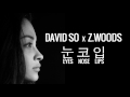 DAVID SO x Z.WOODS - EYES NOSE LIPS