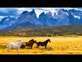 Relaxing Celtic Music: Fantasy Music, Beautiful Music, Relaxing 