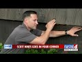 fencing fight between former neighbors