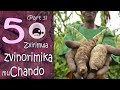 Zvirimwa zvemuChando: Part 3 | Zimbabwean Agriculture | Horticulture | Farming | Winter Crops