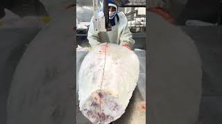 Ultra-low temperature tuna cutting - 60 degrees Celsius frozen tuna processing #cuttingskills #fish