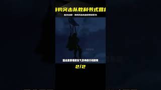 被美軍用于新兵必看教材影片，一場海豹突擊隊教科書式營救 #电影 #电影解说 #影视 #影视解说 #剧情