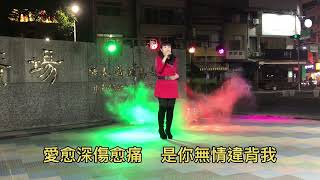 衣琳  是你違反我   （穎川曲）（劉育綾原唱）101團隊    嘉義市街頭藝人      中央廣場  114年元月8日