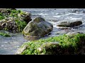 4k 【中国】大連 金石灘 浜海国家地質公園 china dalian jinshitan coast national geological park 中国 大连 滨海国家地质公园