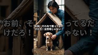 【1分コント】犬が塔 #shorts #お笑い #ショートコント #犬 #塔