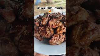 ย่างหมู #หมูป่า #ย่างหมู #หมูย่าง #หมูป่าย่าง