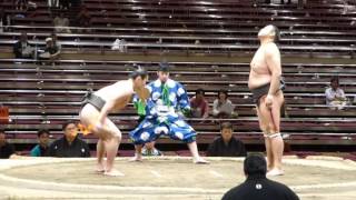 Amanoshima (2-2) - Tokinowaka (1-3) , Sumo : Natsubasho '16