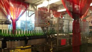 Visit Gekkeikan Sake brewery and seeing bottling